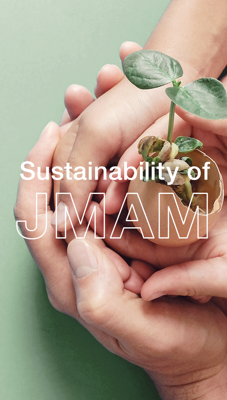 Sustainability of JMAM
