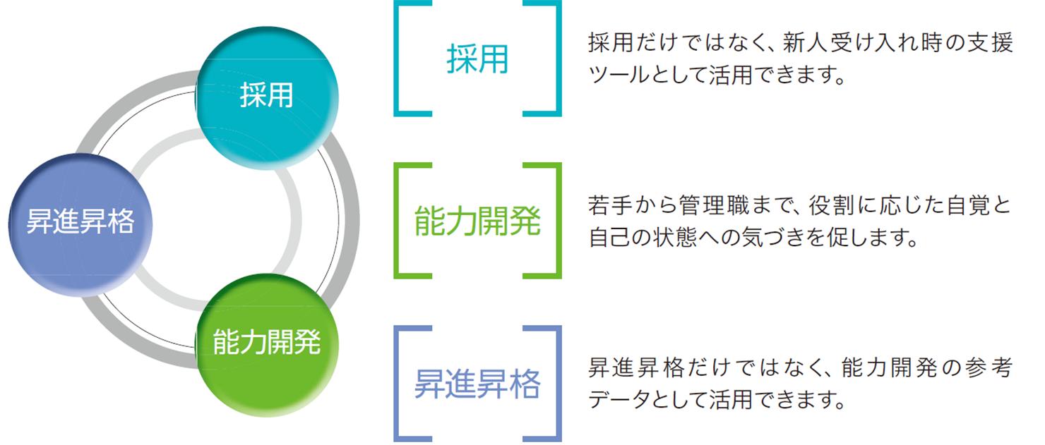 体系的・継続的な能力開発データを提供