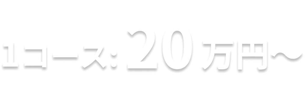 1コース：20万円〜