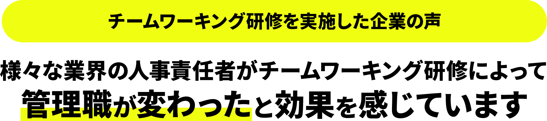 チームワーキング研修を実施した企業の声 様々な業界の人事責任者がチームワーキング研修によって
