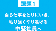 中堅社員 中堅社員