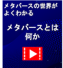 VZJ メタバースの世界がよくわかる