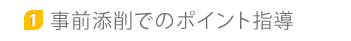 事前添削でのポイント指導